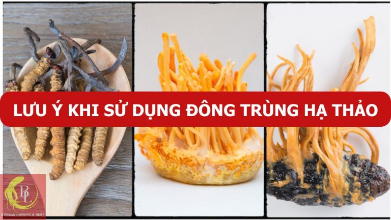 5 điều cần lưu ý khi sử dụng Đông Trùng Hạ Thảo để đạt hiệu quả tốt nhất