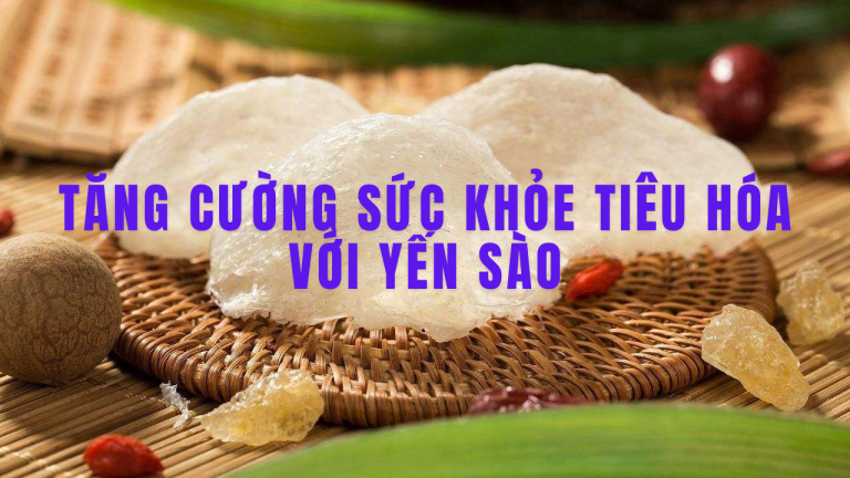 TĂNG CƯỜNG SỨC KHỎE TIÊU HÓA VỚI YẾN SÀO